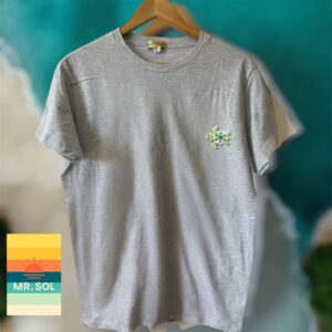 Tortuga bebe arte huichol